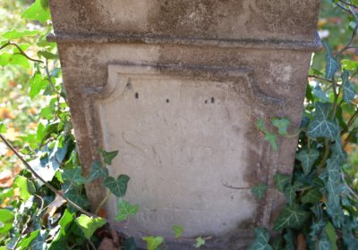 Žatec městský, Omnium, 2020