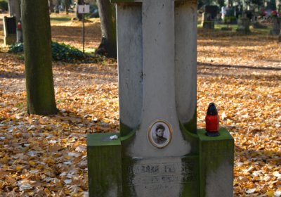 Žatec městský, Omnium, 2020