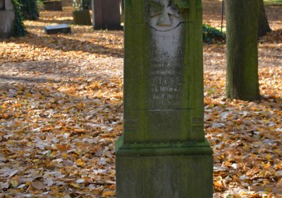 Žatec městský, Omnium, 2020