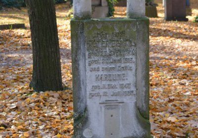 Žatec městský, Omnium, 2020