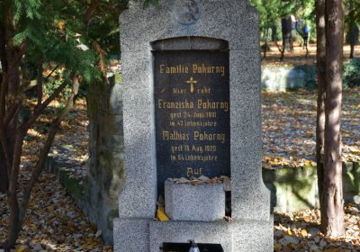 Žatec městský, Omnium, 2020