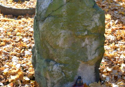 Žatec městský, Omnium, 2020