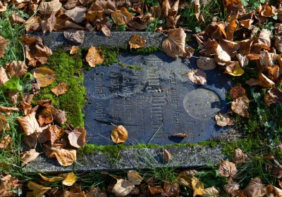 Žatec městský, Omnium, 2020