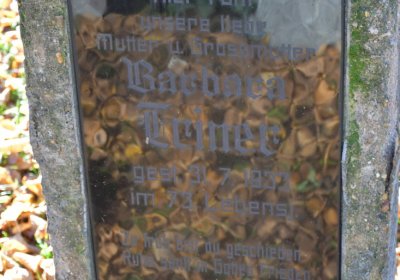 Žatec městský, Omnium, 2020