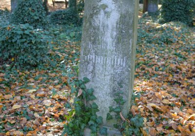 Žatec městský, Omnium, 2020