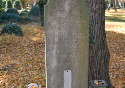 Žatec městský, Omnium, 2020