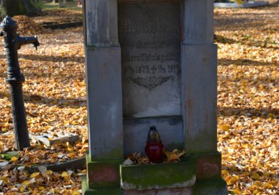 Žatec městský, Omnium, 2020