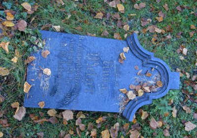 Žatec městský, Omnium, 2020