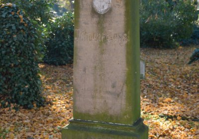 Žatec městský, Omnium, 2020