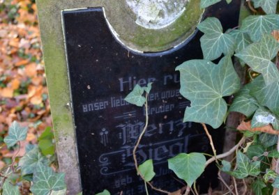 Žatec městský, Omnium, 2020