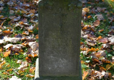 Žatec městský, Omnium, 2020