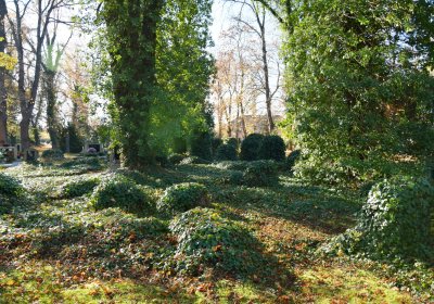 Žatec městský, Omnium, 2020