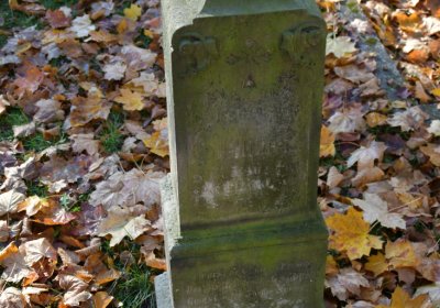 Žatec městský, Omnium, 2020