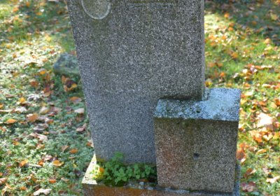 Žatec městský, Omnium, 2020