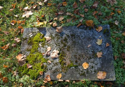 Žatec městský, Omnium, 2020