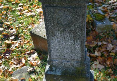 Žatec městský, Omnium, 2020