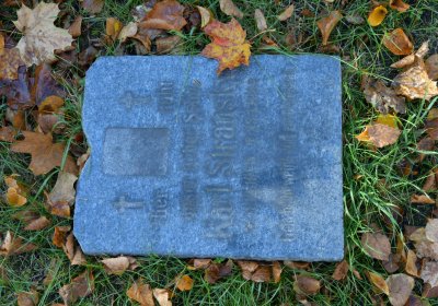 Žatec městský, Omnium, 2020