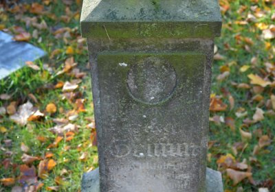 Žatec městský, Omnium, 2020