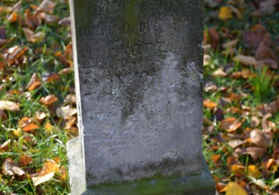 Žatec městský, Omnium, 2020