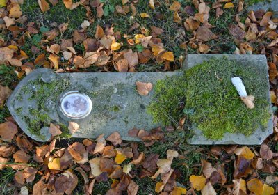 Žatec městský, Omnium, 2020