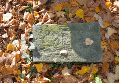 Žatec městský, Omnium, 2020