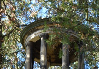 Žatec městský, Omnium, 2020