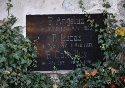 Žatec městský, Omnium, 2020