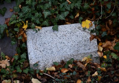 Žatec městský, Omnium, 2020