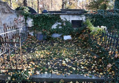 Žatec městský, Omnium, 2020