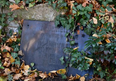 Žatec městský, Omnium, 2020