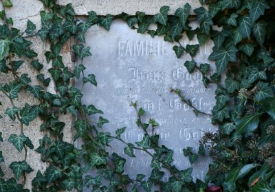 Žatec městský, Omnium, 2020