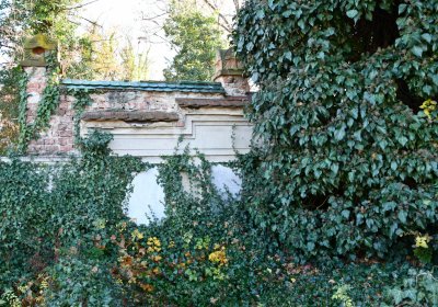 Žatec městský, Omnium, 2020