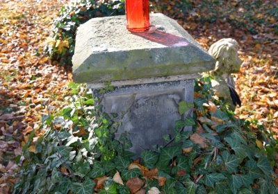 Žatec městský, Omnium, 2020