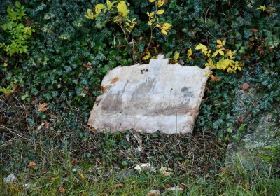 Žatec městský, Omnium, 2020