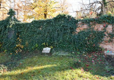 Žatec městský, Omnium, 2020