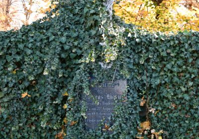 Žatec městský, Omnium, 2020