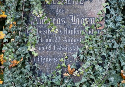 Žatec městský, Omnium, 2020