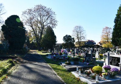 Žatec městský, Omnium, 2020