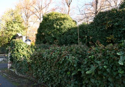 Žatec městský, Omnium, 2020