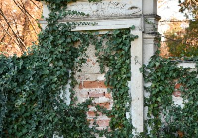 Žatec městský, Omnium, 2020