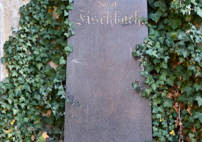 Žatec městský, Omnium, 2020