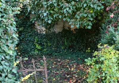 Žatec městský, Omnium, 2020