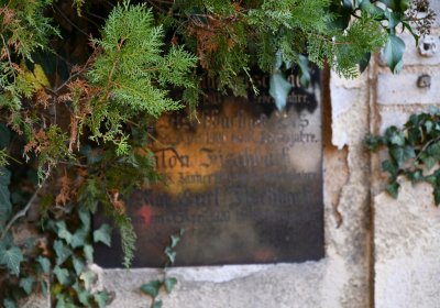 Žatec městský, Omnium, 2020