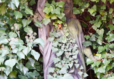 Žatec městský, Omnium, 2020