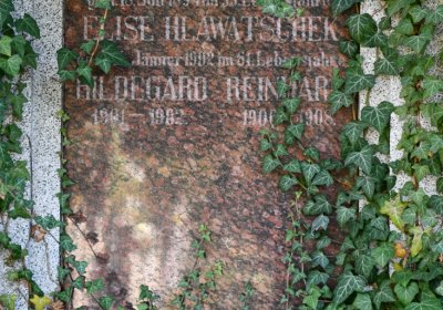 Žatec městský, Omnium, 2020