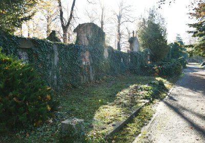 Žatec městský, Omnium, 2020