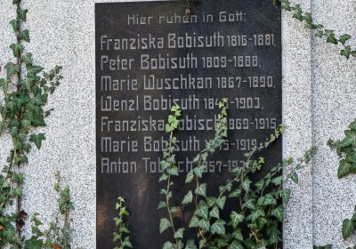 Žatec městský, Omnium, 2020