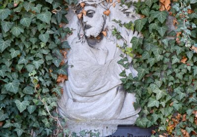 Žatec městský, Omnium, 2020