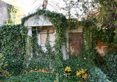 Žatec městský, Omnium, 2020