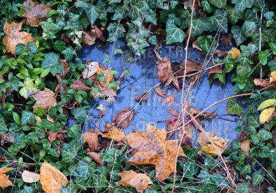 Žatec městský, Omnium, 2020